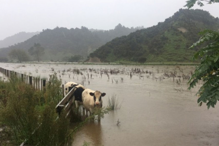 Ciklon Debi se obrušio na Novi Zeland