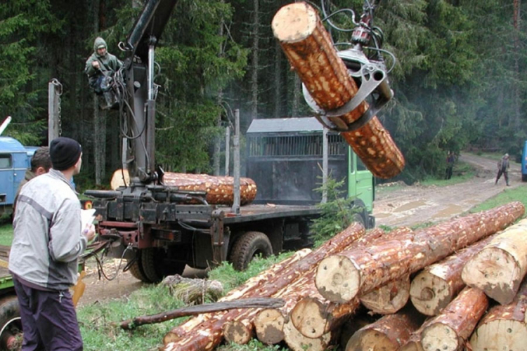 Na crnoj listi "Šuma Srpske" skoro 600 firmi