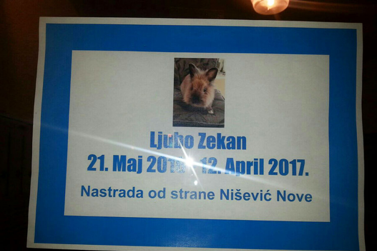 Smrtovnica za zeca u banjalučkom naselju Ada
