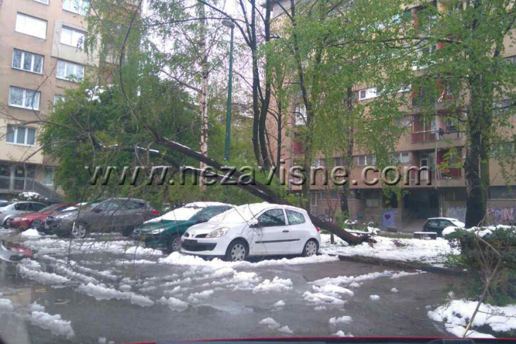 Drvo oštetilo auto na parkingu u Sarajevu