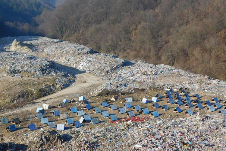 Azil za pse noćna mora za mještane