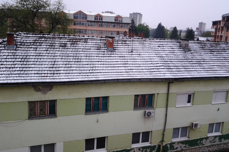 Aprilski snijeg rušio stabla i elektromrežu