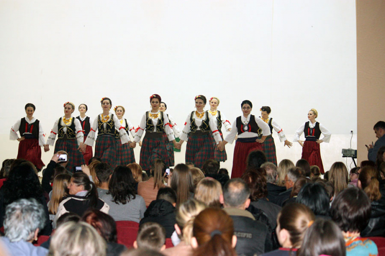 Održan koncert "Modriča za Sofiju"