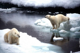 Alarmantni znaci klimatskih promjena