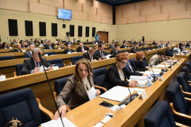 Stevanović: U slučaju prodaje Ljubije može doći do gubitka nekoliko ...