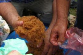 U Šamcu zaplijenjeno 1.800 kilograma duvana