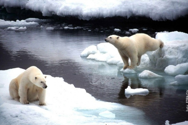 Alarmantni znaci klimatskih promjena