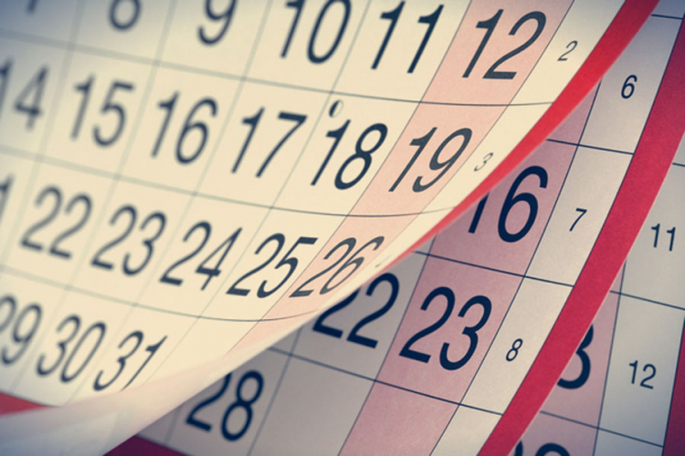 Vic dana: Fata kalendar