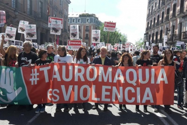 U Madridu protest protiv borbi bikova