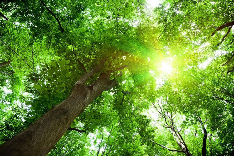 Danas sunčano, temperature do 27 stepeni