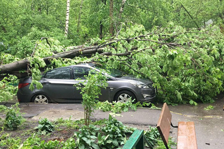 Olujno nevrijeme pogodilo Moskvu - 11 mrtvih, 69 povrijeđenih