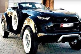 Mustang po želji šeika