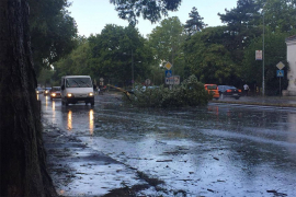 Nevrijeme stiglo u Srbiju: Žena stradala u Novom Sadu