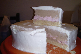 Torta lijena žena