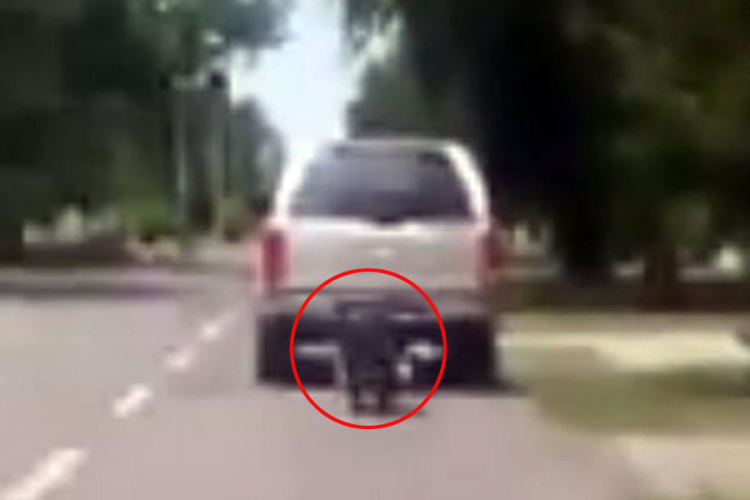 Zavezao psa za auto i vukao po putu