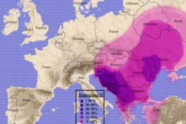 "Genetska karta" - nema veće razlike između Srba, Hrvata i Bošnjaka