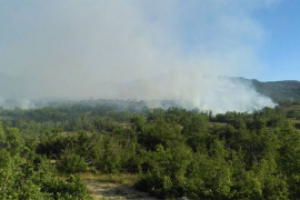 Ugašeni svi požari na području Trebinja