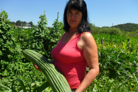 Uzgojila krastavac težine 4,6 kilograma