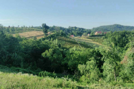 U okolini Teslića nestao muškarac, u potrazi policija sa psima