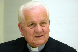 Komarica: Ne želimo da BiH bude štala za briselske konje