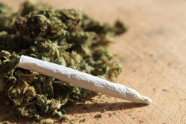 Marihuana u urugvajskim apotekama od 19. jula