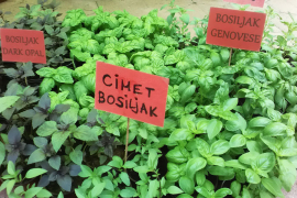 Škola proizvodnje začinskog bilja