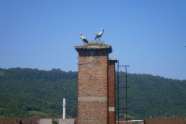 Vratile se najpoznatije sanske rode Mujo i Fata