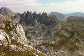 Poginula čehinja na Durmitoru