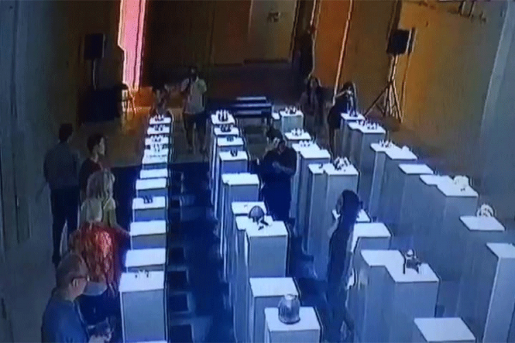 Htjela selfi na izložbi, napravila štetu od 200.000 dolara