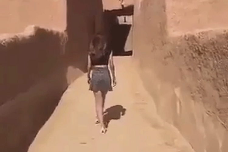 Prošetala u miniću u Saudijskoj Arabiji, dio javnosti traži hapšenje