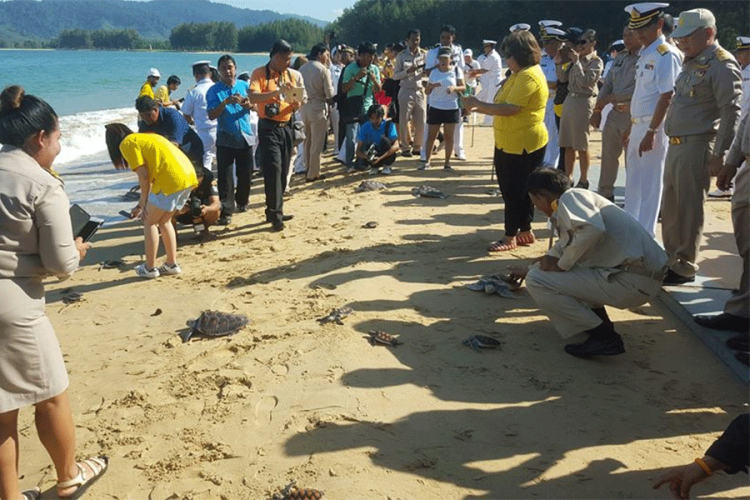 Kornjače puštene u more na Tajlandu da kralj živi duže