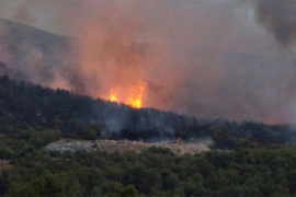 Uhapšen piroman koji je izazvao 25 požara u Istri
