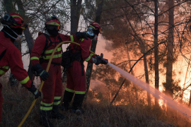 Vatra pustoši Portugal: Hiljade vatrogasaca u borbi s požarima