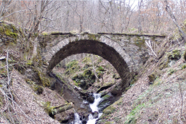 Djevojčica rodila bebu i bacila je u grmlje ispod mosta