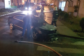 Odborniku DNS-a zapaljen pasat