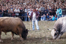 "Korida" pred Banjalučanima