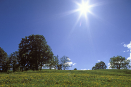 Danas sunčano, temperatura do 32 stepena