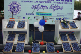 "Sajam šljive" okupio 300 izlagača