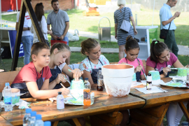Ekofestival "Dani Vrbasa", promocija žile kucavice grada