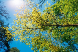 Sunčano i ugodno toplo