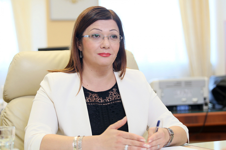 Rešić: Dijasporu moramo iskoristiti  za razvoj rodne grude