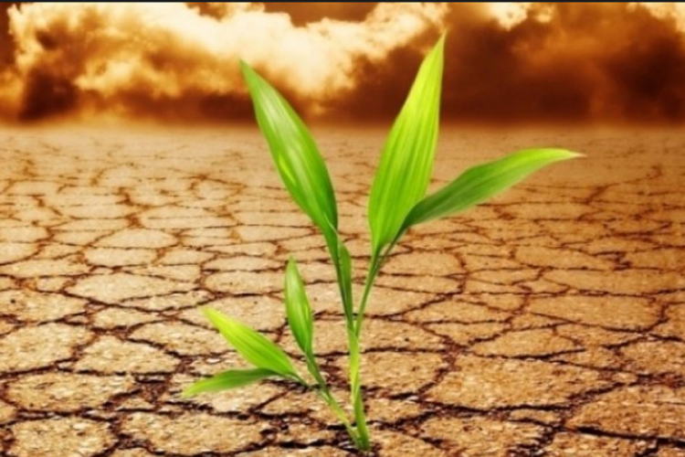 Koje zemlje će "preživjeti" klimatske promjene?