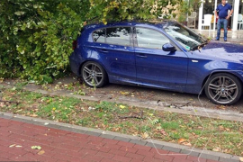 Saobraćajni kolaps u Mostaru, snažan vjetar ruši stabla