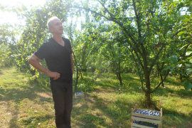 Voće propalo, voćari na mukama