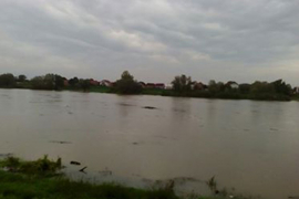Sava raste, ali neće plaviti