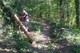Prohodna staza od Srpskih toplica do  Trešnjika