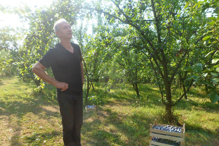 Voće propalo, voćari na mukama