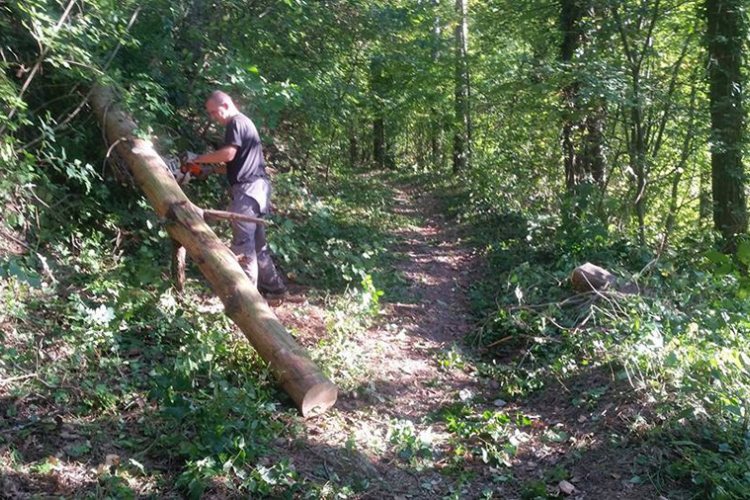 Prohodna staza od Srpskih toplica do  Trešnjika