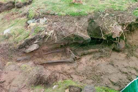 Ofelija otkrila misteriozni kostur koji je zbunio naučnike