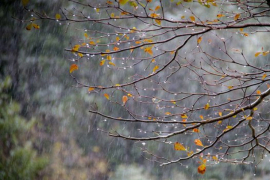 Sutra oblačno sa kišom, najviša dnevna temperatura 15 stepeni